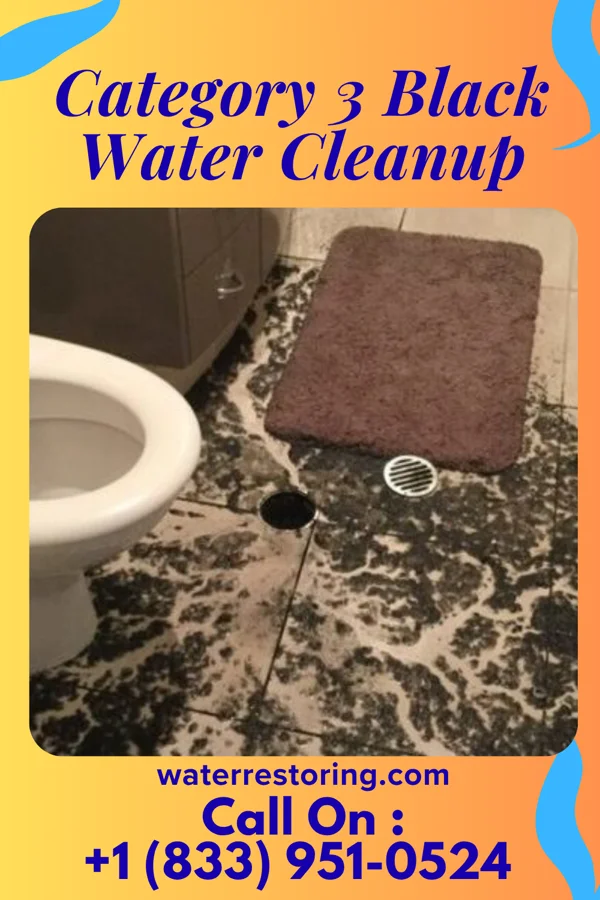 Category 3 Black Water Cleanup in Leary, GA
