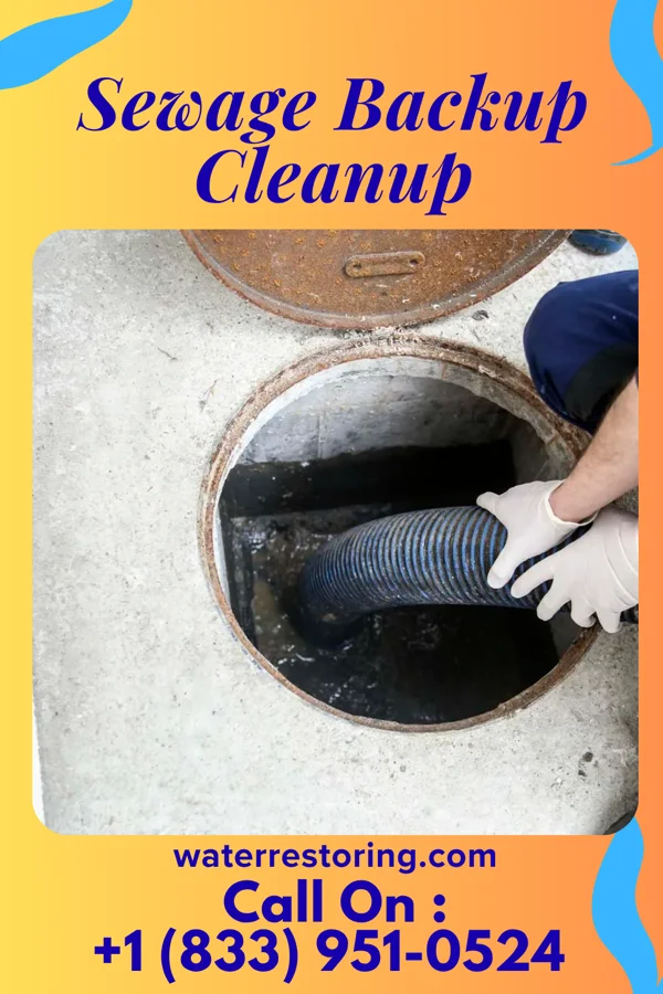 Sewage Backup Cleanup in Leary, GA